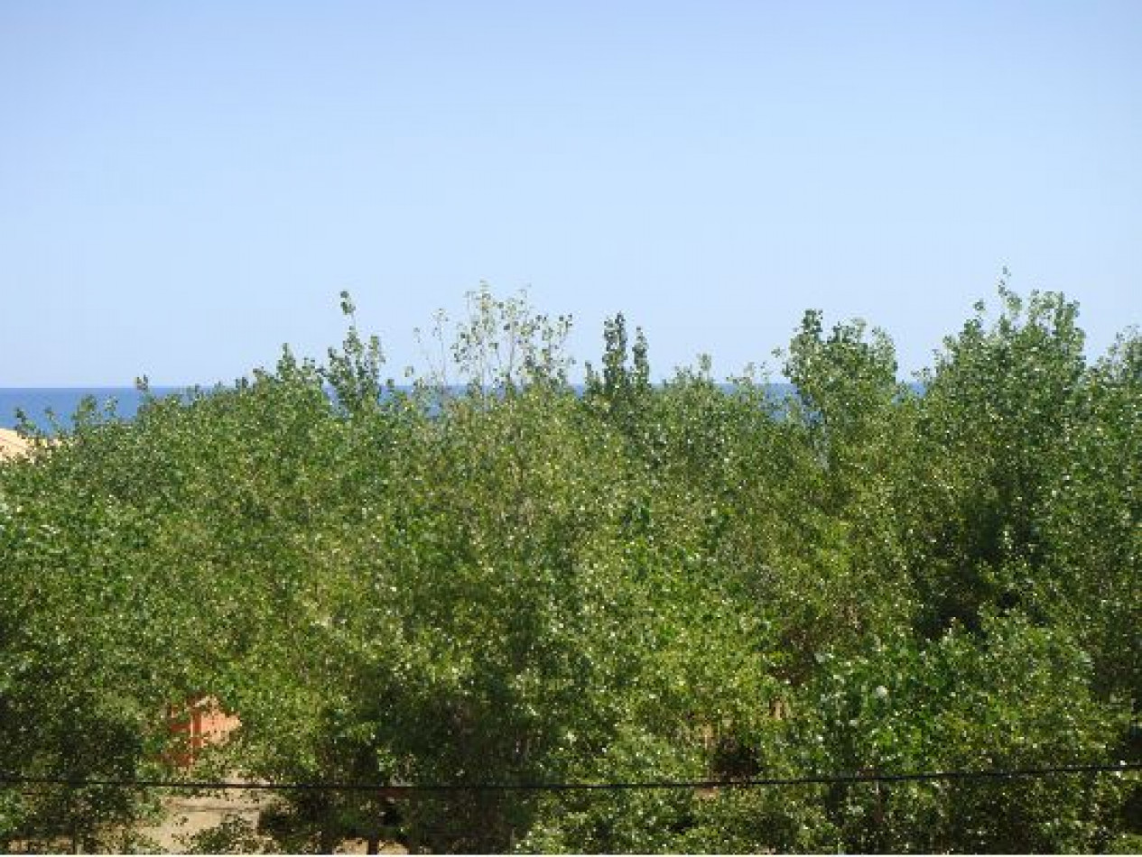 vente Appartement Marseillan Plage - Photo 10