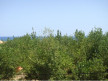 vente Appartement Marseillan Plage