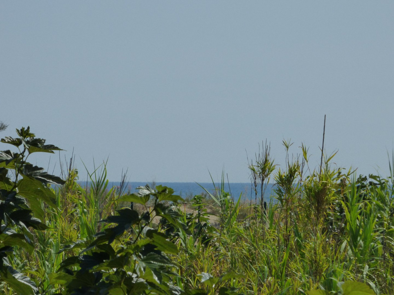 vente Studio cabine Marseillan Plage - Photo 3