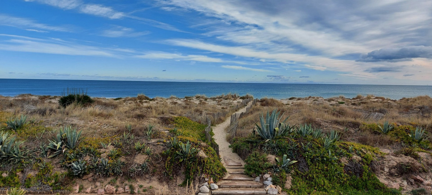 vente Appartement Marseillan Plage - Photo 1