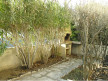 vente Appartement Marseillan Plage