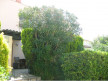 vente Maison Le Cap D'agde