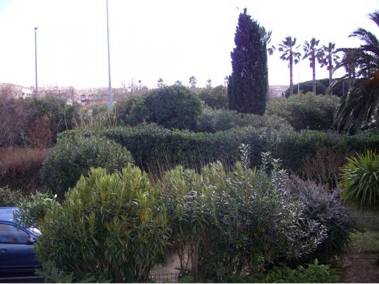 vente Appartement Le Cap D'agde - Photo 1