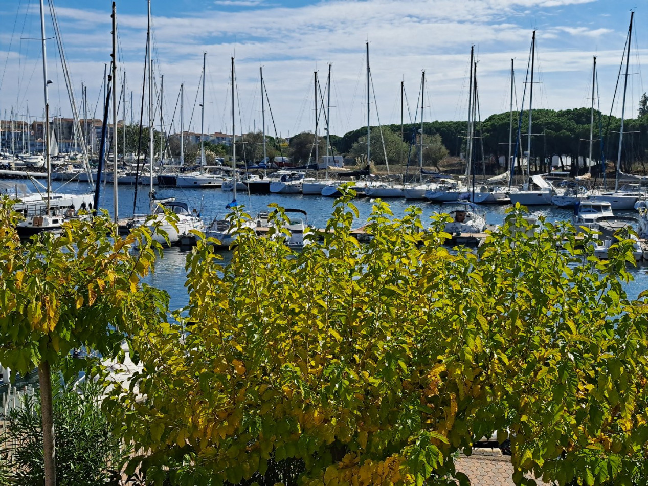 vente Maison Le Cap D'agde - Photo 1