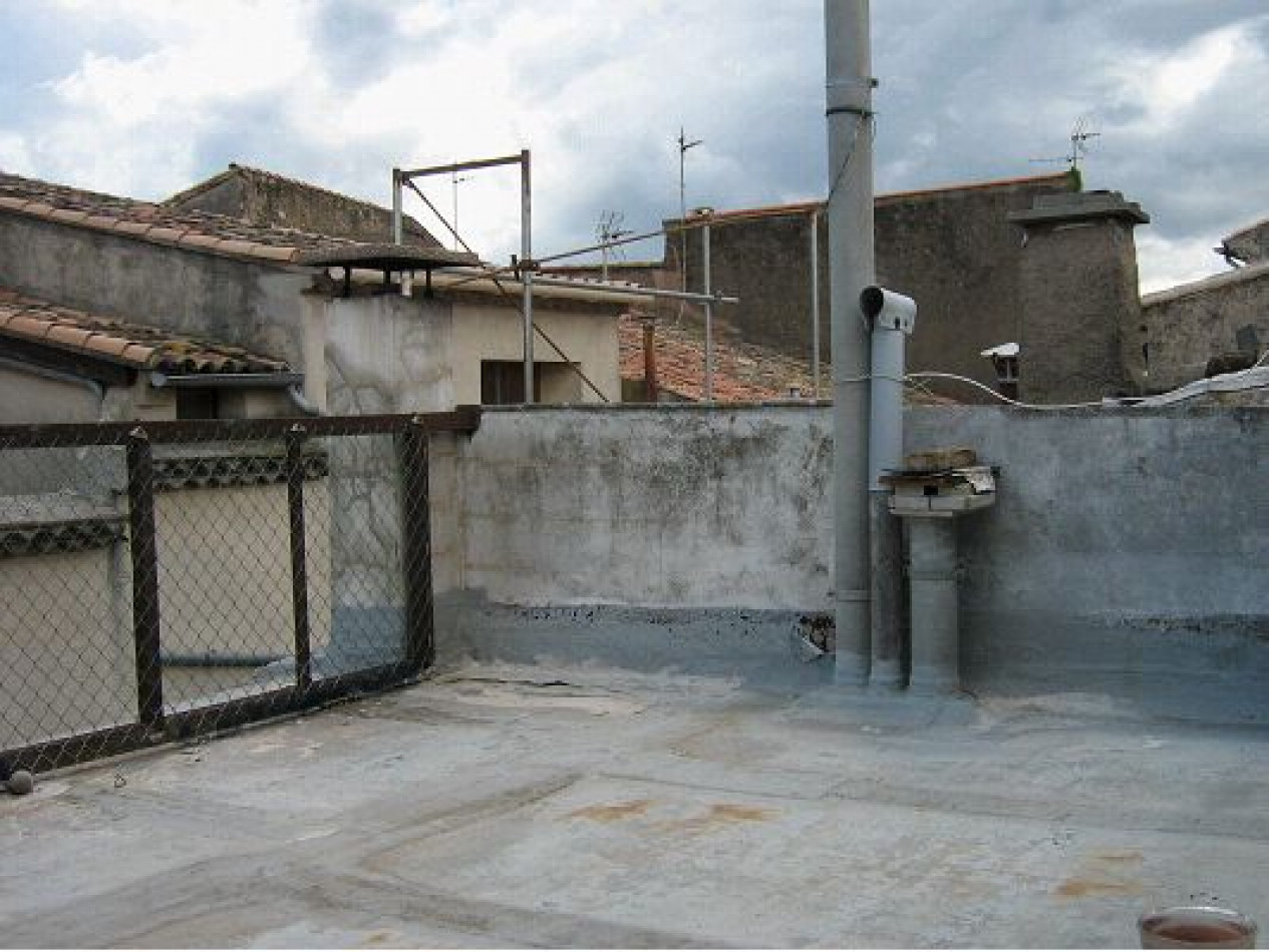 vente Maison Loupian - Photo 2