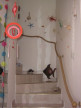 vente Villa Meze