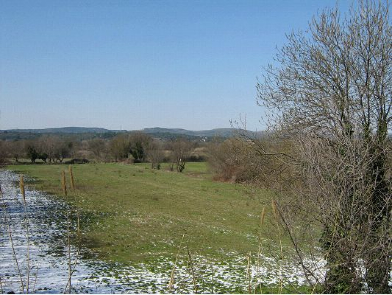 vente Maison Balaruc Le Vieux - Photo 27