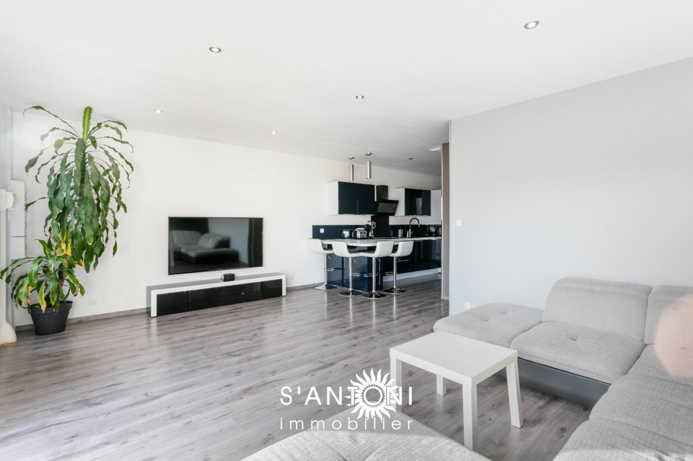 vente Maison Pinet - Photo 3