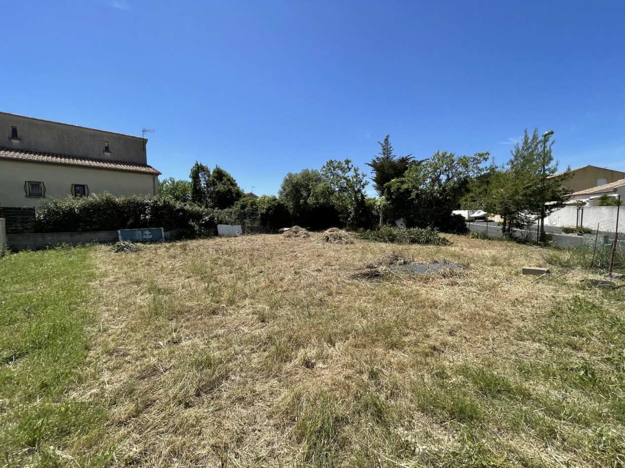 vente Terrain Meze - Photo 2