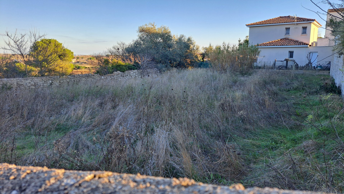 vente Terrain Meze - Photo 1