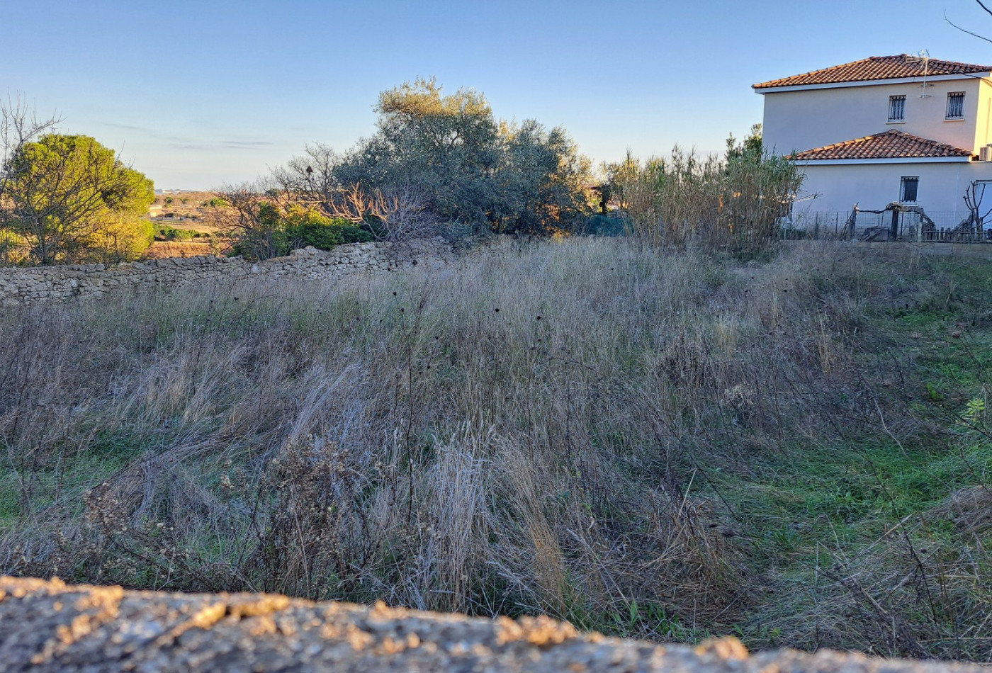 vente Terrain Meze - Photo 1