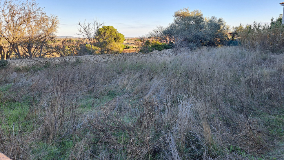 vente Terrain Meze - Photo 3