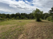 vente Terrain Clermont L'herault