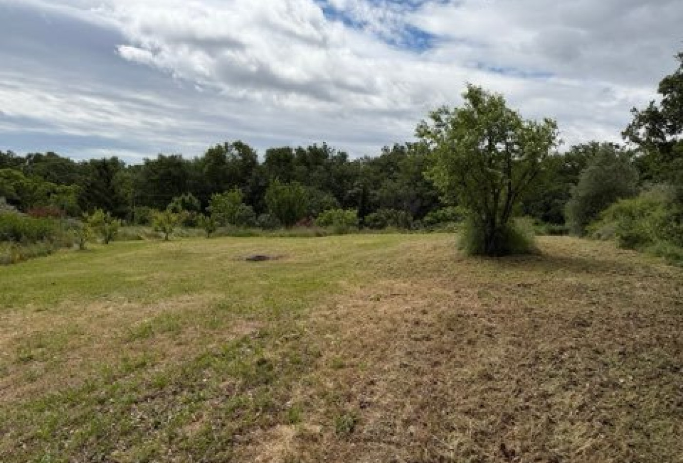 vente Terrain Clermont L'herault - Photo 5
