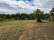 vente Terrain Clermont L'herault