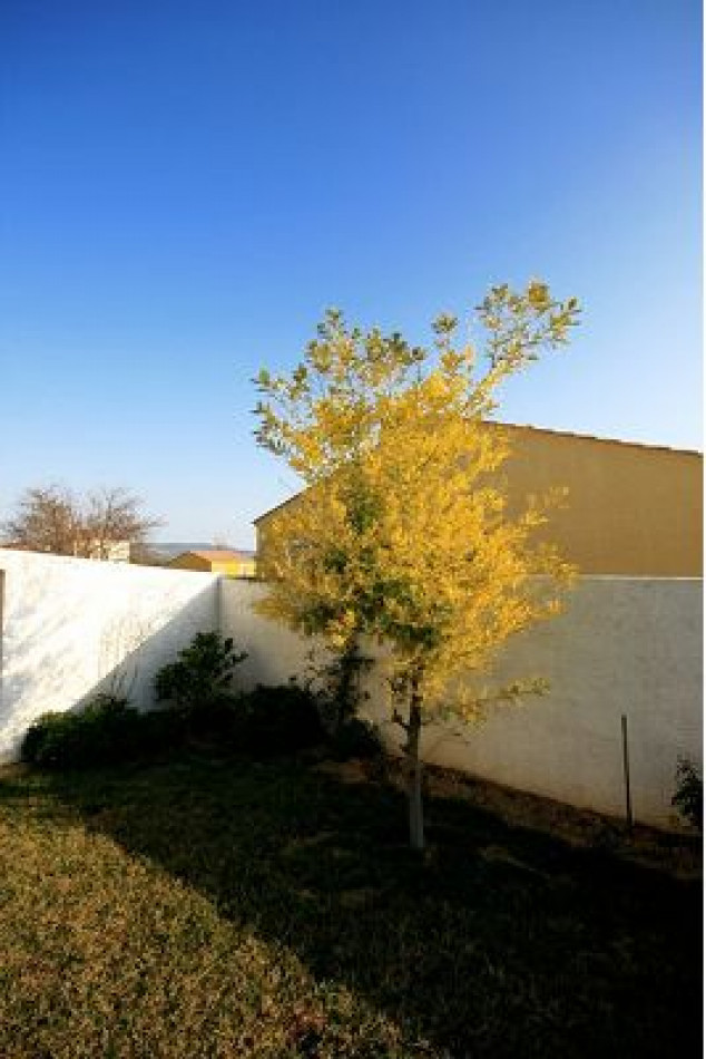 vente Maison Roujan - Photo 22