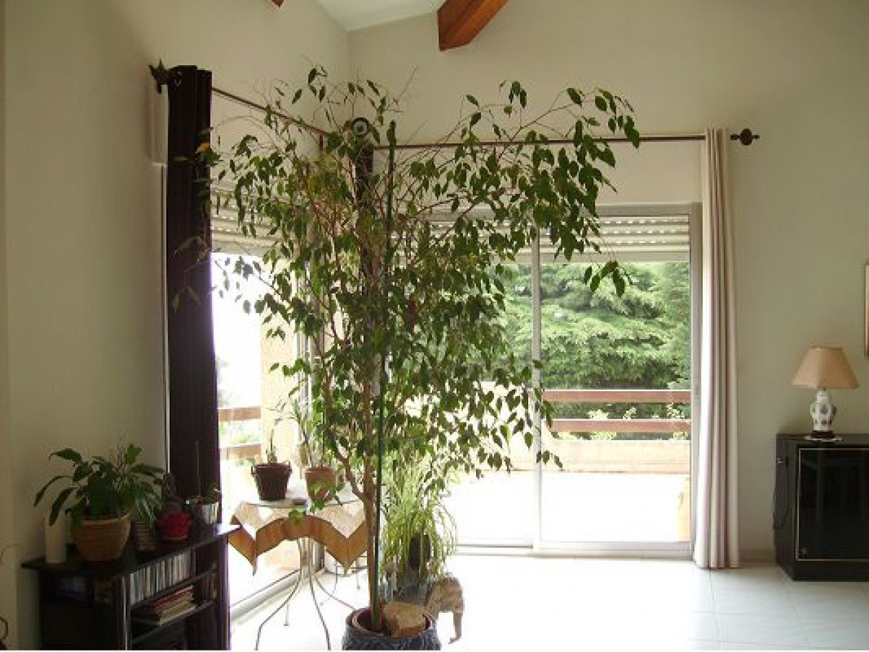 vente Villa d'architecte Sete - Photo 6
