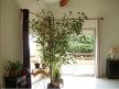 vente Villa d'architecte Sete