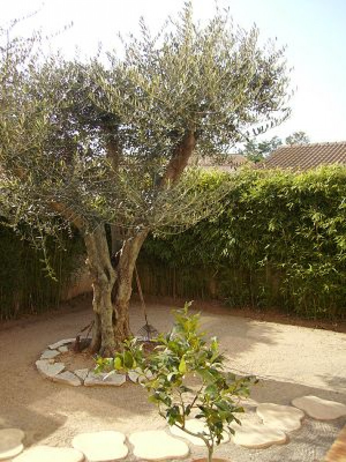 vente Maison Sete - Photo 1