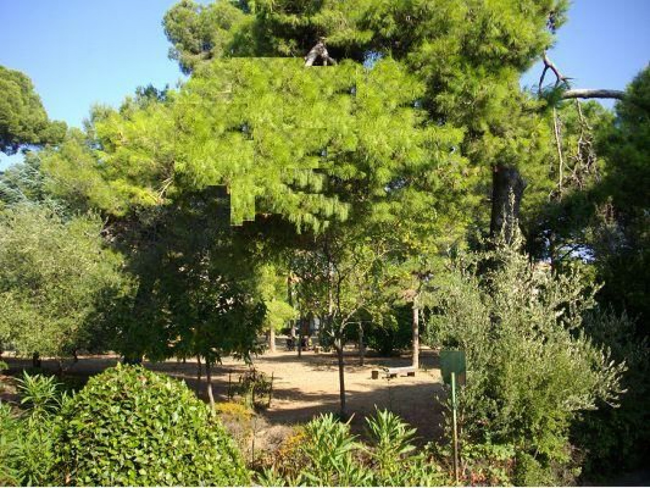 vente Appartement Sete - Photo 1