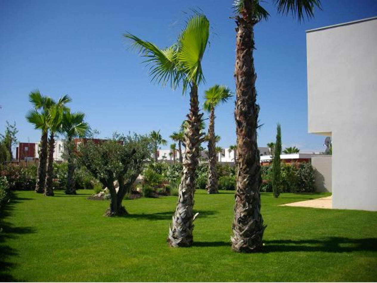 vente Maison Sete - Photo 6