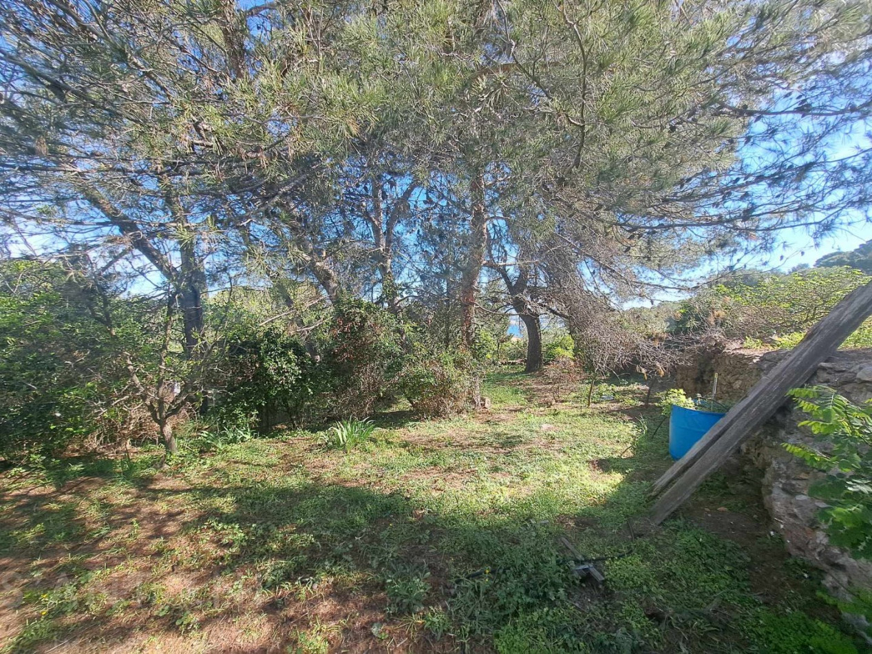 vente Terrain Sete - Photo 3