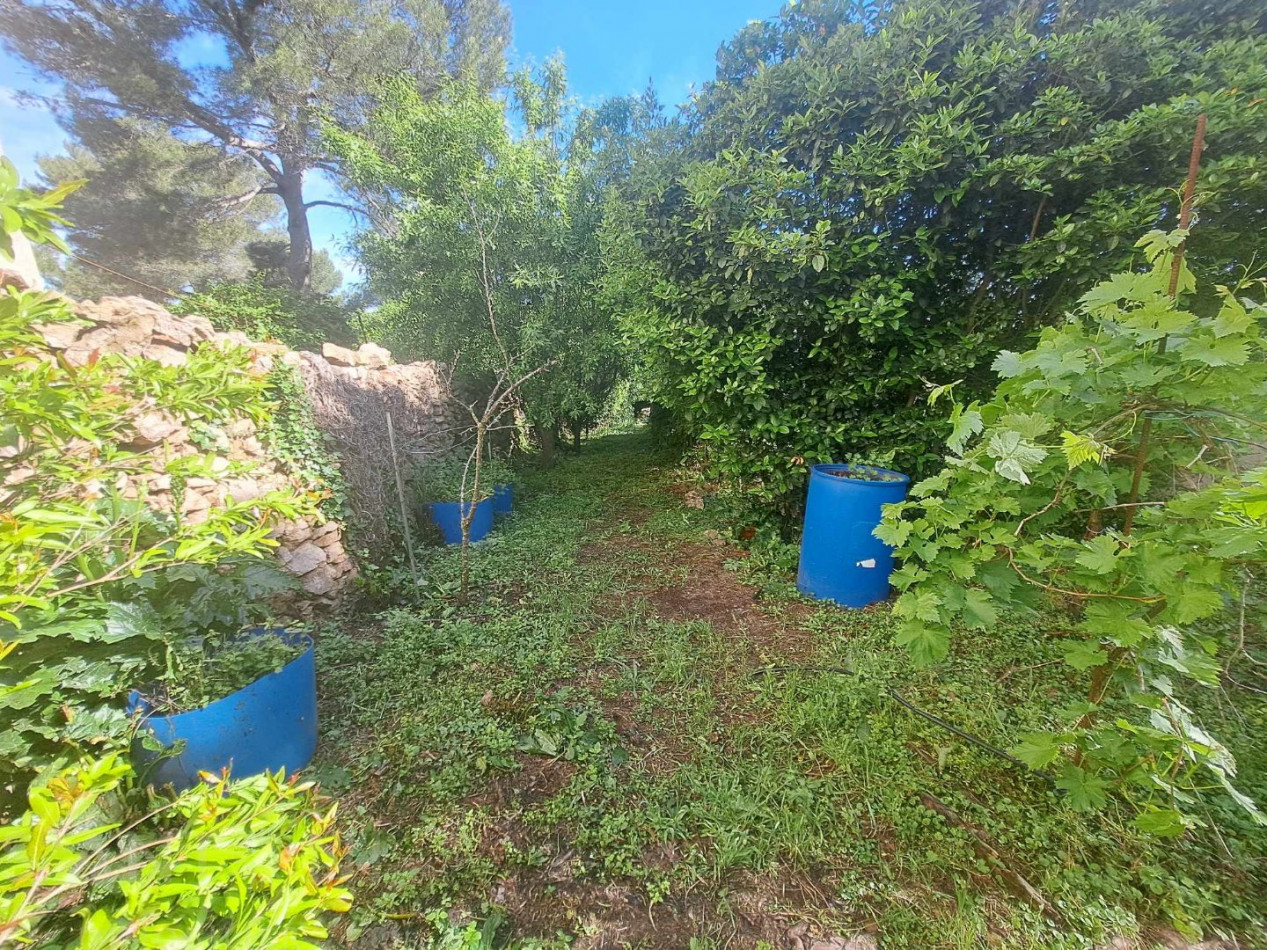 vente Terrain Sete - Photo 4