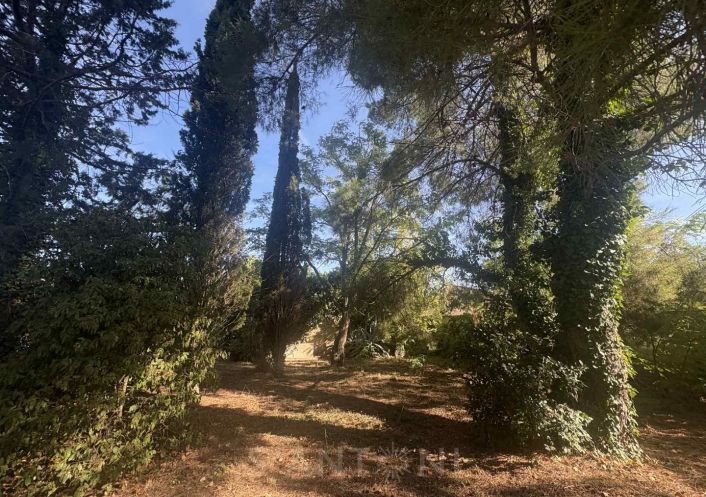 vente Terrain constructible Montbazin