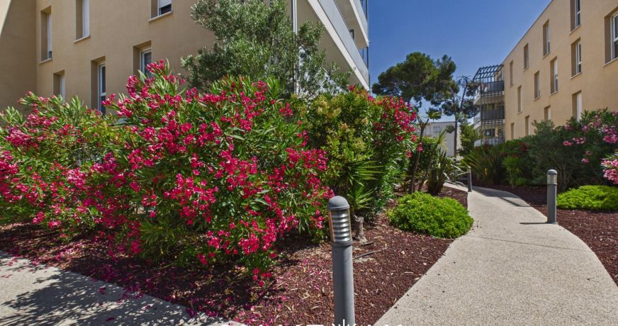 vente Appartement en rez de jardin Sete