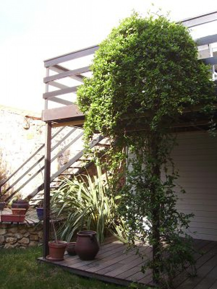 vente Maison vigneronne Pinet - Photo 9