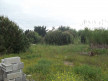 vente Terrain constructible Le Grau D'agde