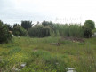 vente Terrain constructible Le Grau D'agde