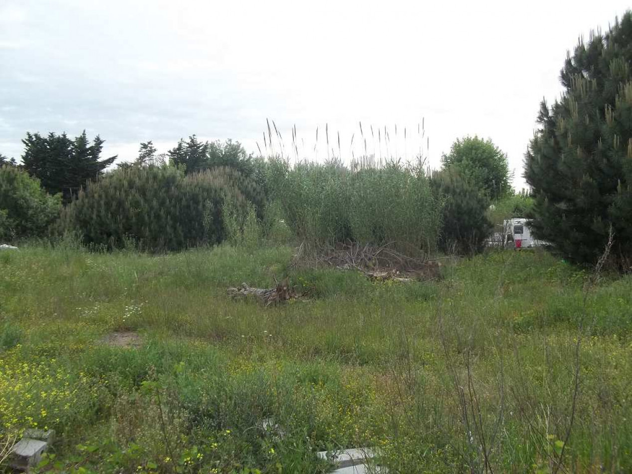 vente Terrain constructible Le Grau D'agde - Photo 4
