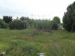 vente Terrain constructible Le Grau D'agde