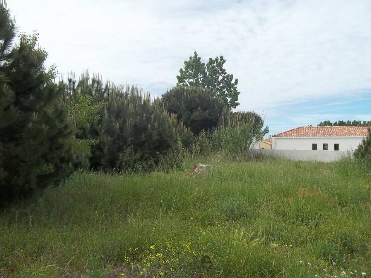 vente Terrain constructible Le Grau D'agde - Photo 7