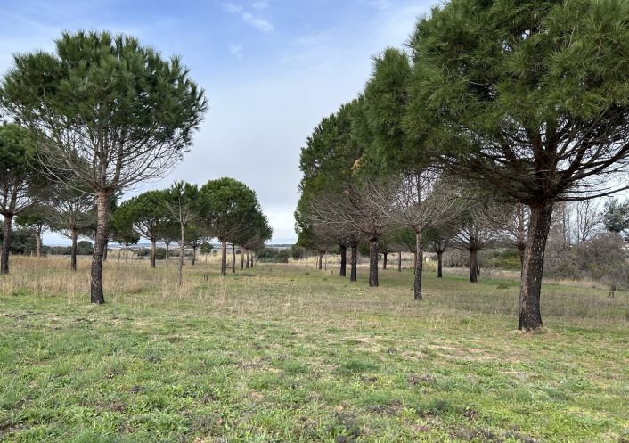 vente Terrain Vias