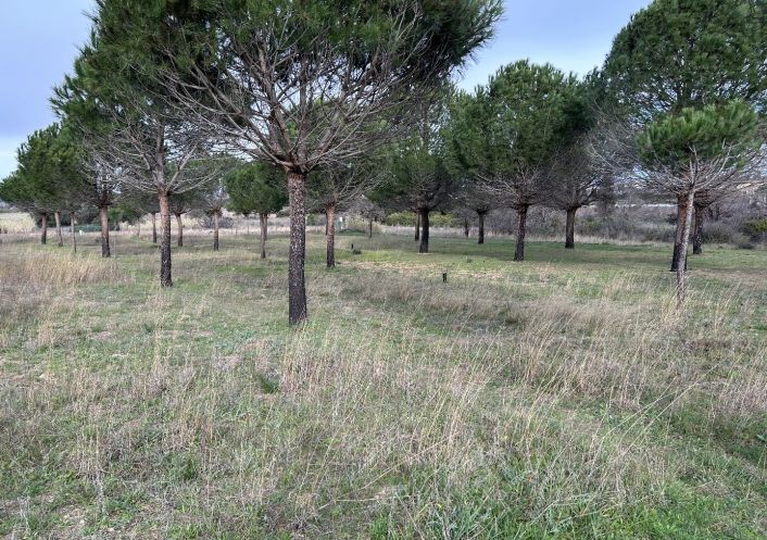 vente Terrain Vias