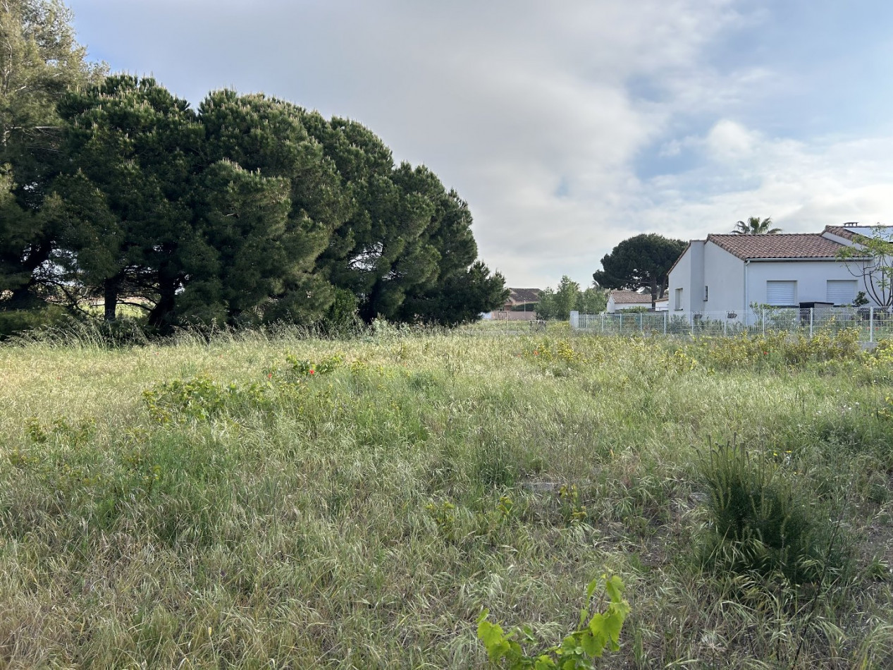 vente Terrain constructible Le Grau D'agde - Photo 3