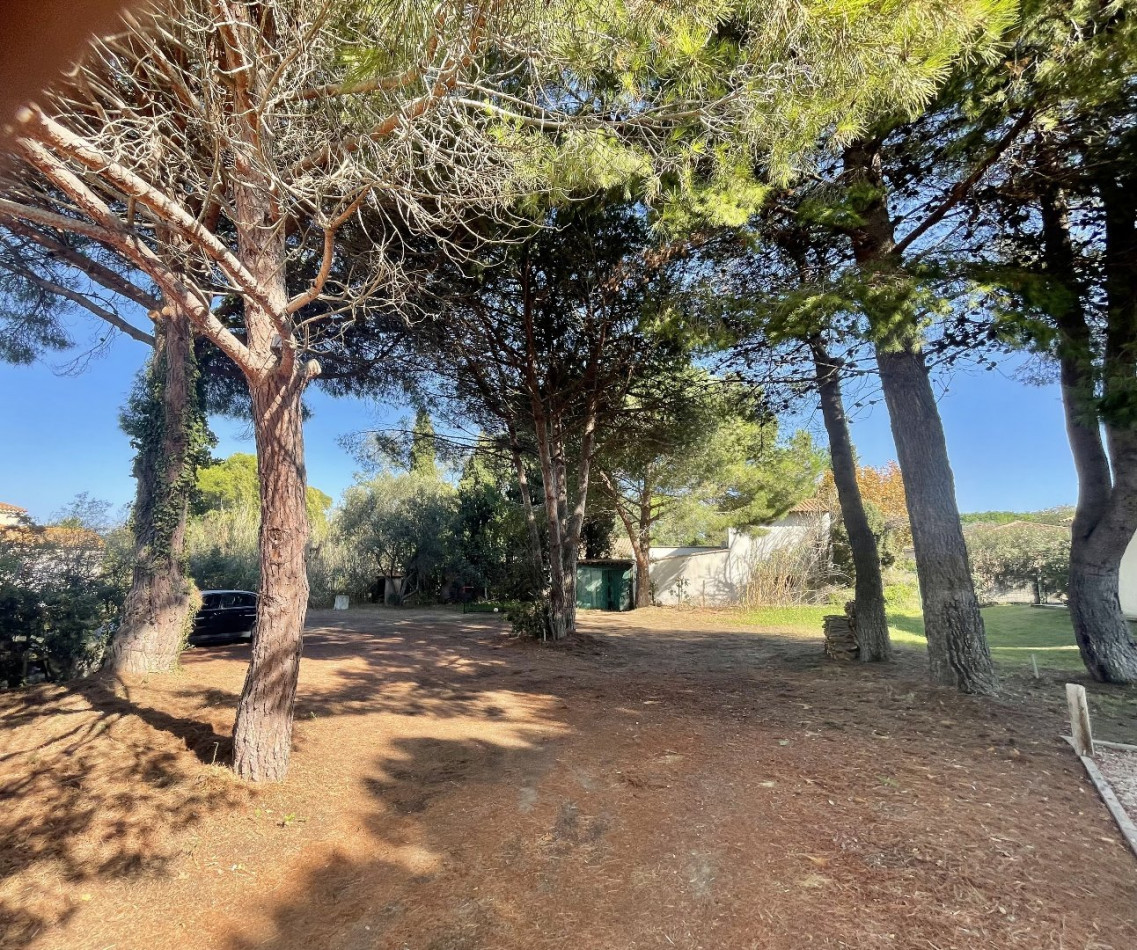 vente Terrain Le Grau D'agde - Photo 1