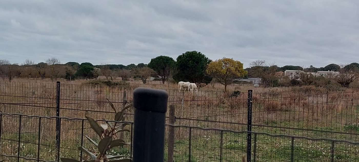 vente Appartement en résidence Le Grau D'agde - Photo 17