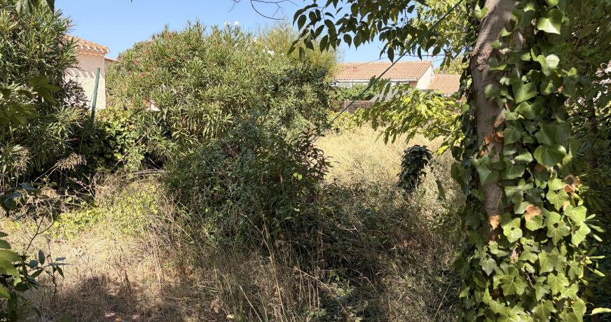 vente Maison Agde