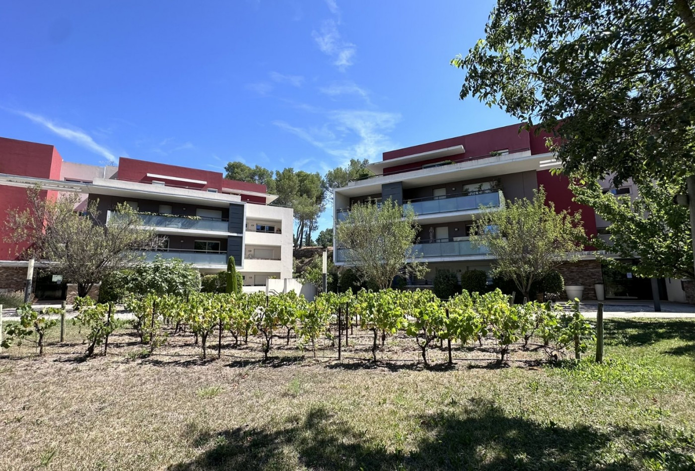 letting Appartement Montferrier Sur Lez - Photo 1