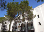 location Appartement Montpellier