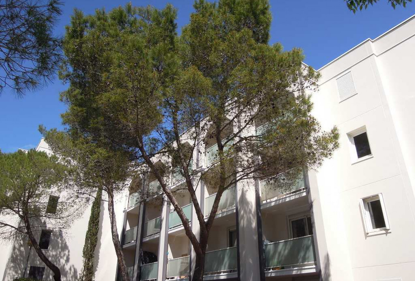location Appartement Montpellier - Photo 6