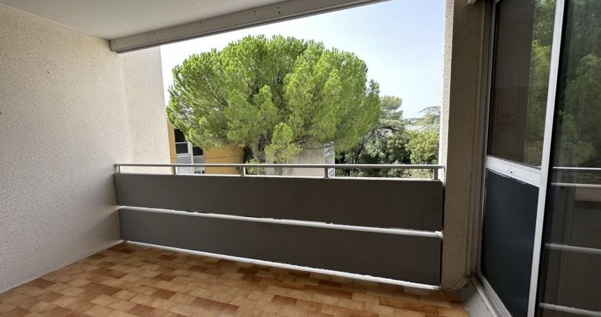 location Appartement Montpellier
