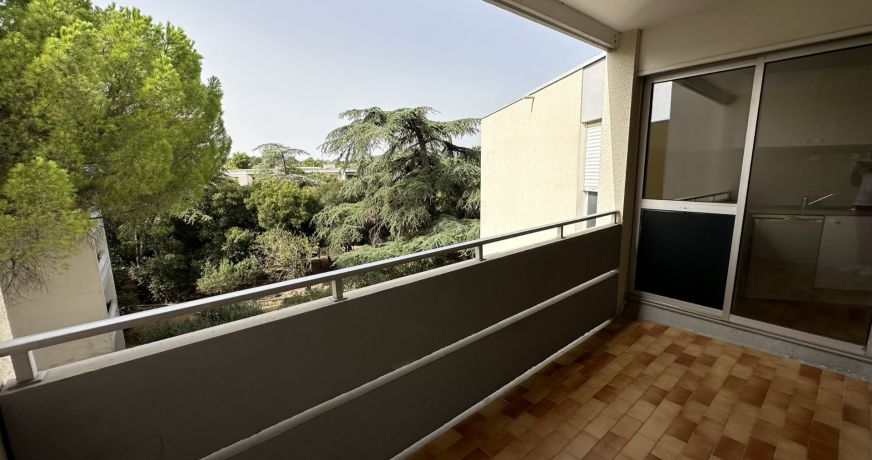 location Appartement Montpellier