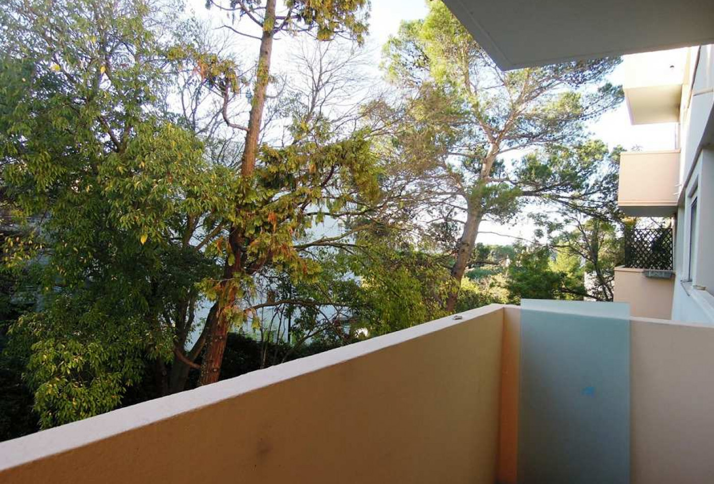 location Appartement Montpellier - Photo 4