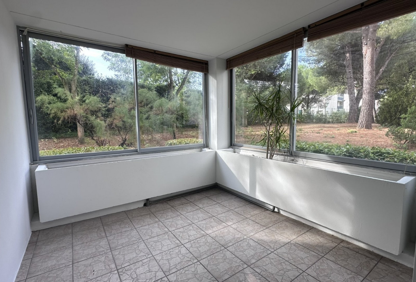 letting Appartement Montpellier - Photo 1