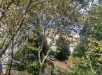 letting Appartement Montpellier
