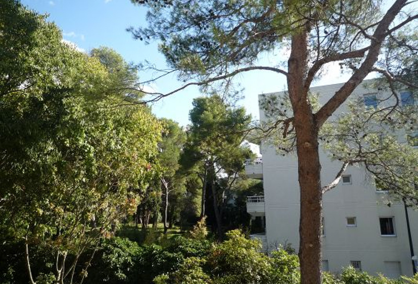 vente Appartement Montpellier - Photo 5